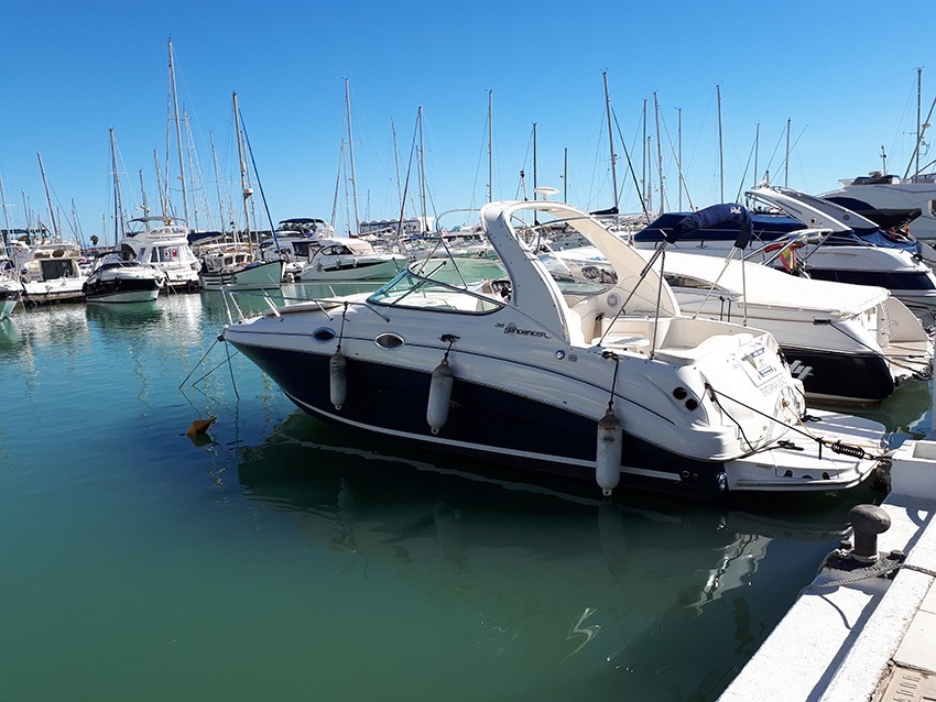 SeaRay315_1