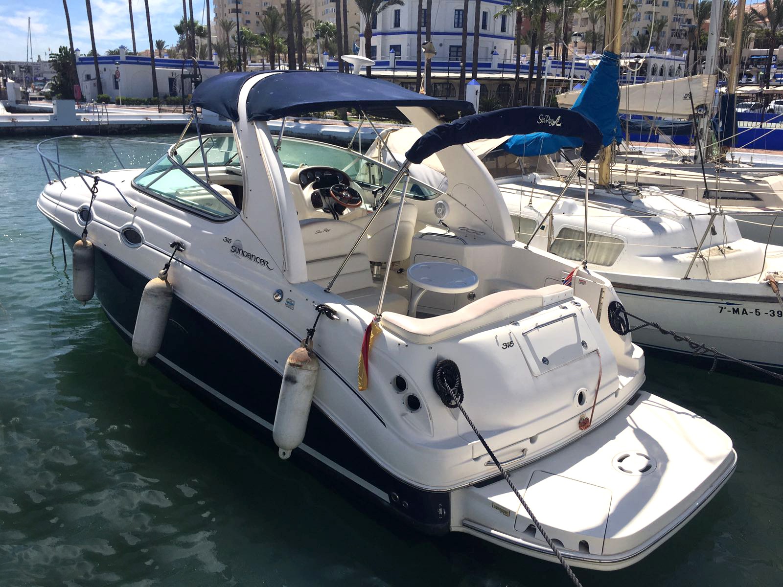 SeaRay315_2