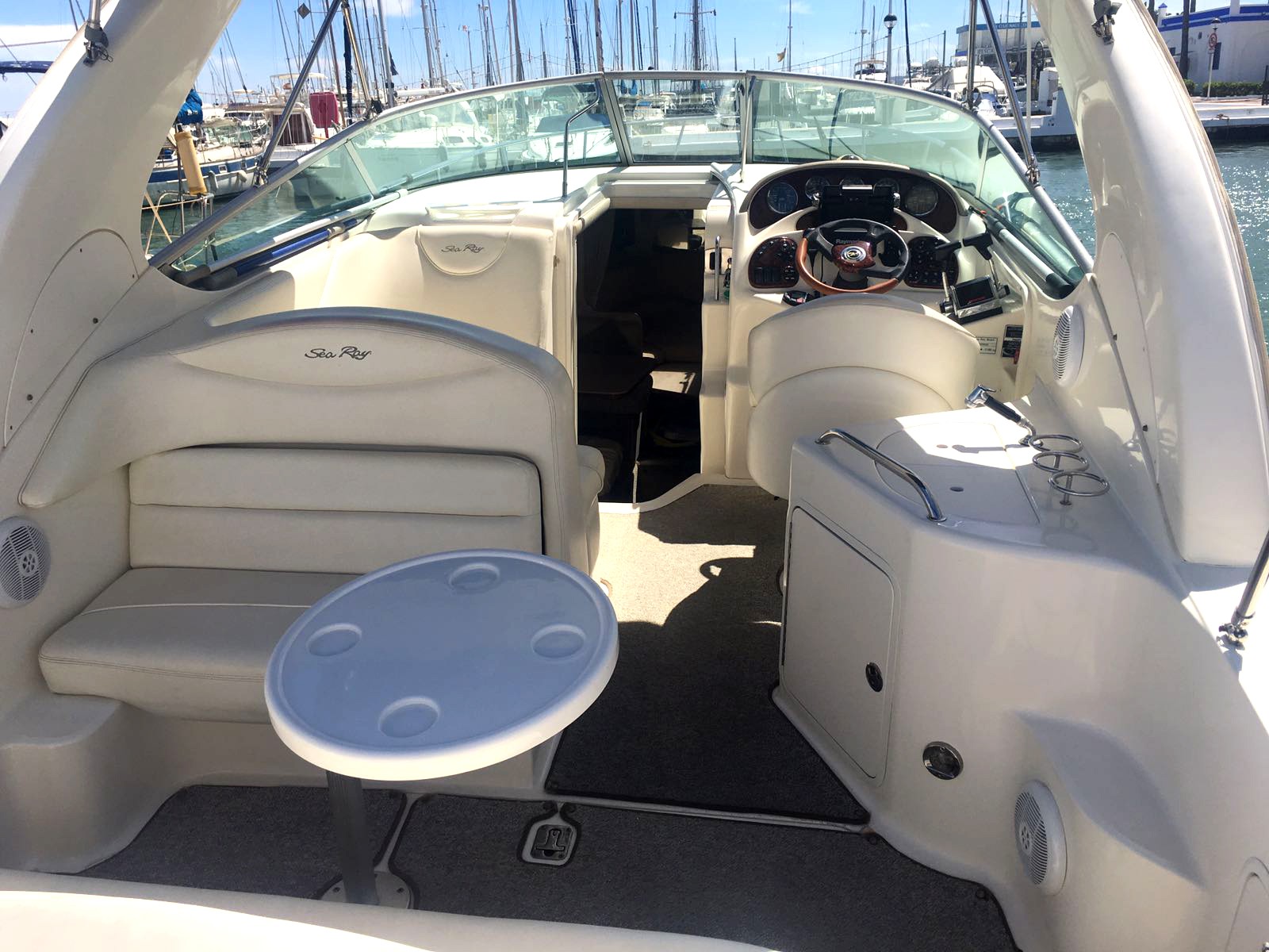 SeaRay315_8